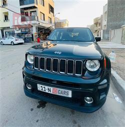 جيب رينيجيد